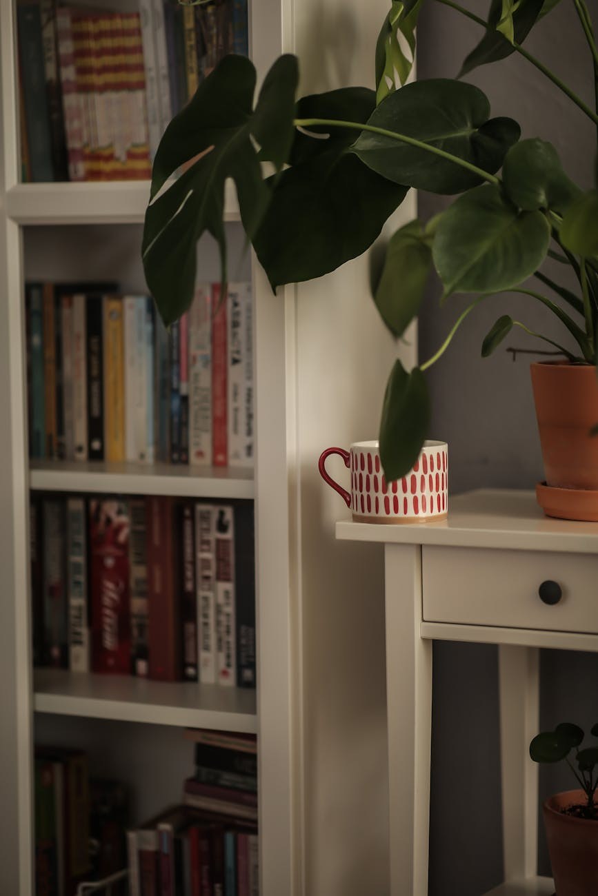 Maintenance tips and organization system for long-term shelf care
